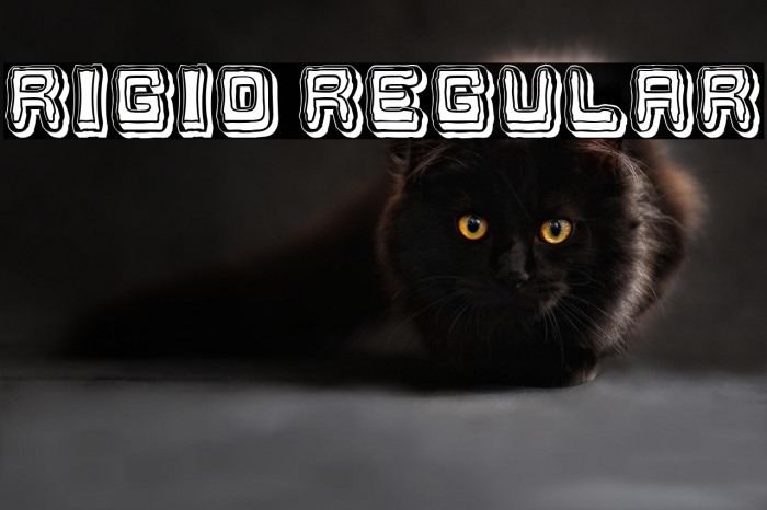 Rigid Regular Example 2