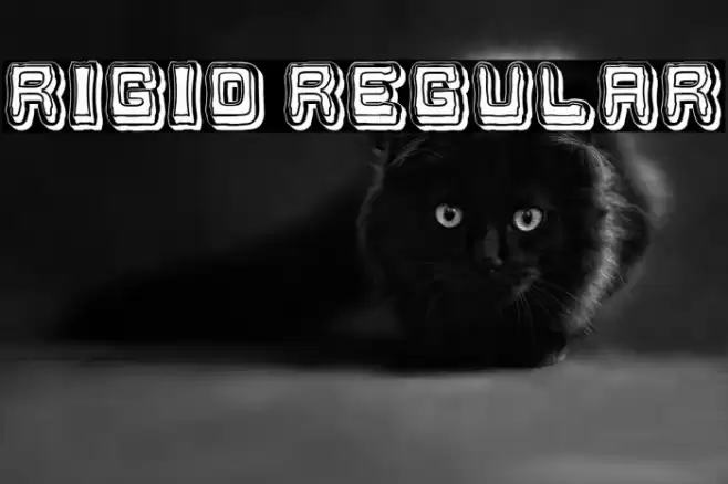 Rigid Regular Font examples