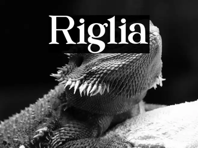 Riglia Font examples