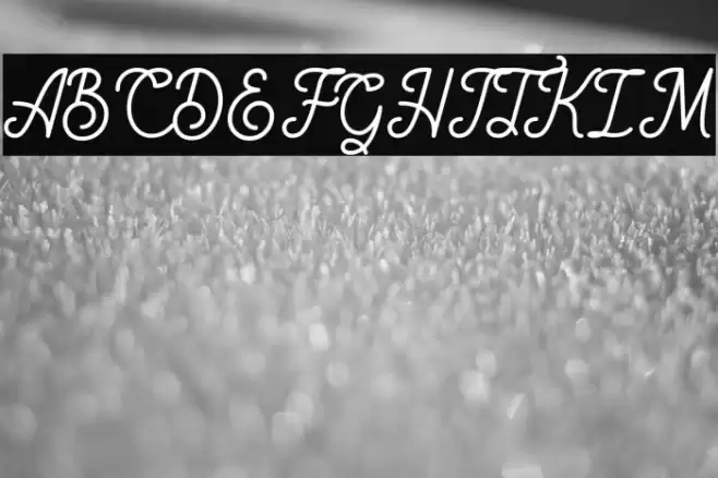 Rigoletto Font examples