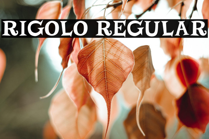 Rigolo Regular Example 1