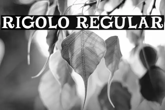 Rigolo Regular Font examples