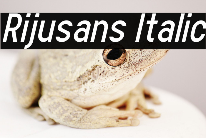 Rijusans Italic Example 1