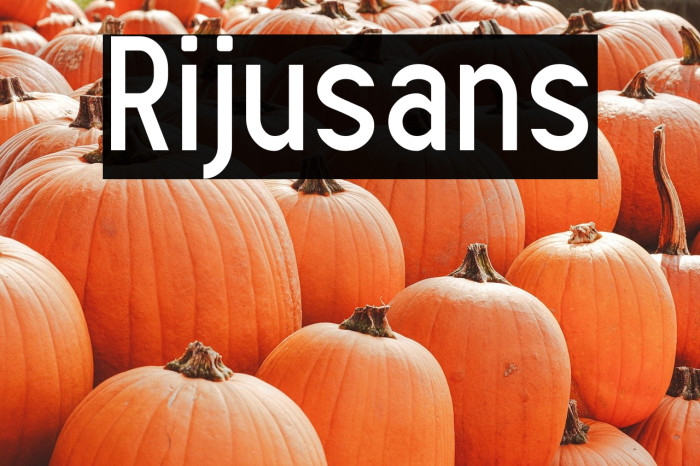 Rijusans Example 2