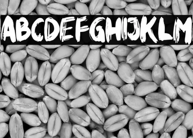 Rikabrush Font examples