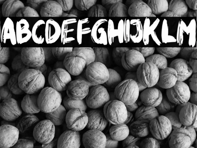 Rikabrush Font examples