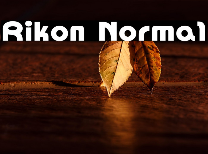 Rikon Normal Example 1
