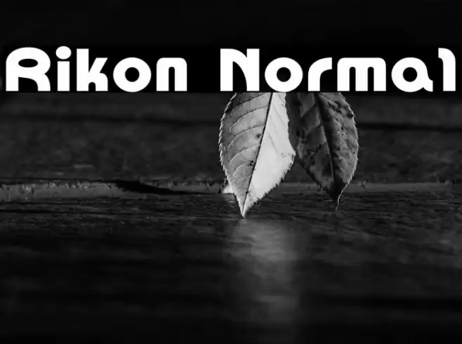 Rikon Normal Font examples