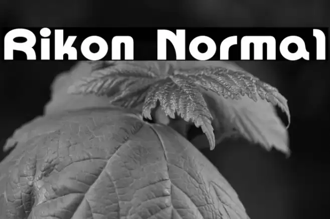 Rikon Normal Font examples