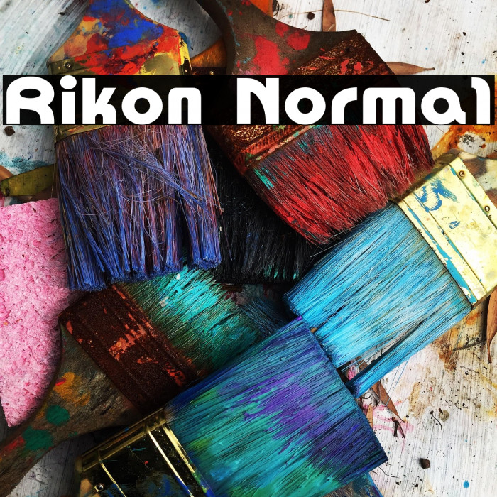 Rikon Normal Example 3