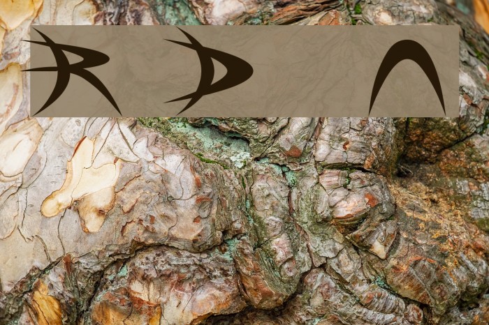 Riky Depredador Normal Font examples