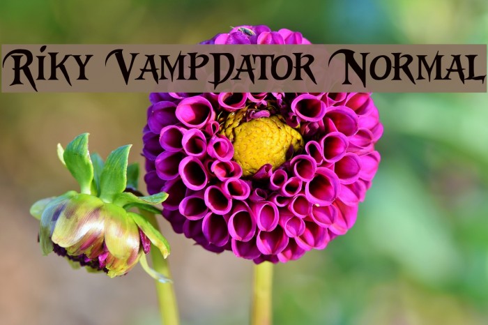 Riky Vampdator Normal Font examples