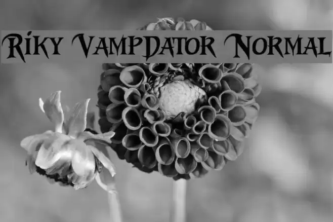 Riky Vampdator Normal フォント examples