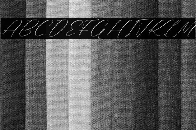 Rilenheart Scottibela Polices examples