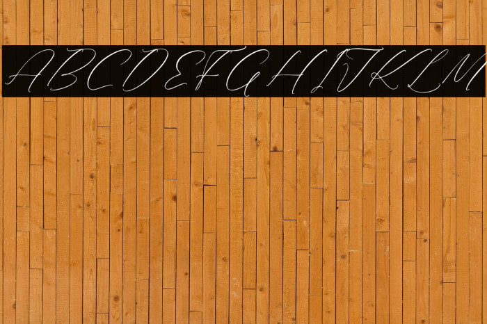 Rilenheart Scottibela Example 3