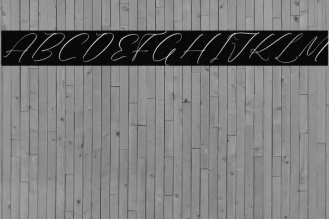 Rilenheart Scottibela Polices examples