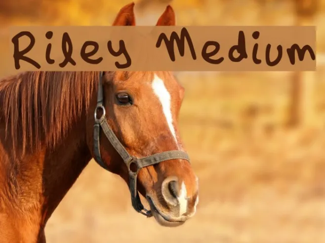 Riley Medium Example 2