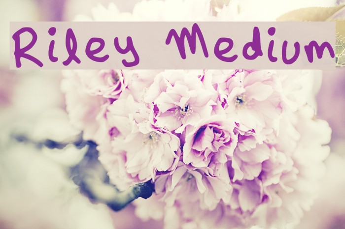 Riley Medium Font examples