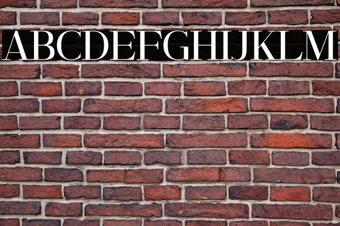 RileyFrost-Regular Example 2