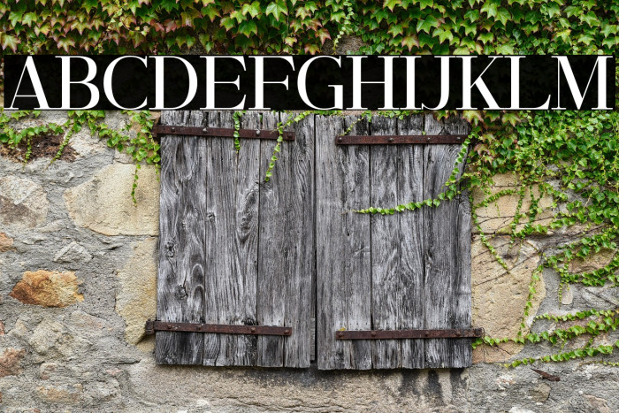 RileyFrost-Regular Example 3