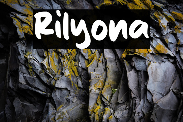 Rilyona Example 3
