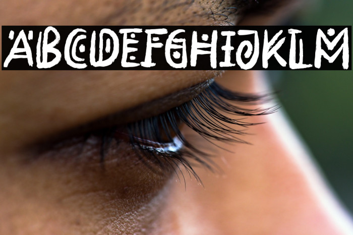 Rimba Andalas Example 1