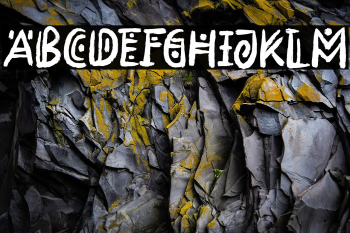 Rimba Andalas Example 2