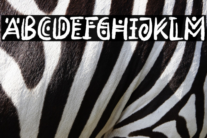 RimbaAndalas Example 2