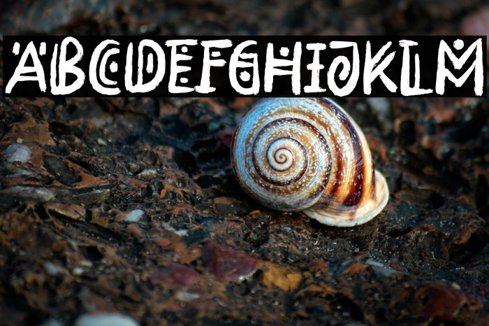 RimbaAndalas Example 3