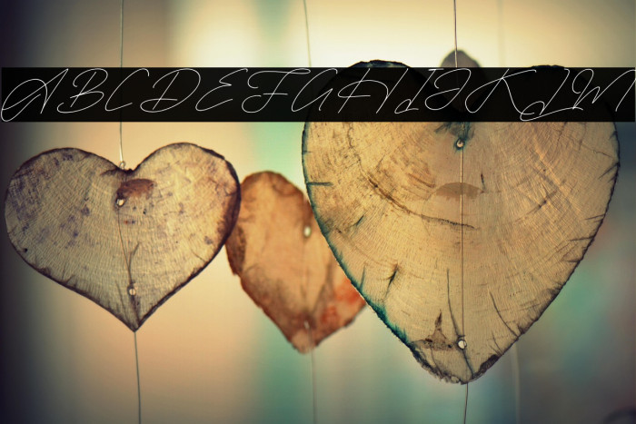 Rimgatho DEMO VERSION Italic Example 1