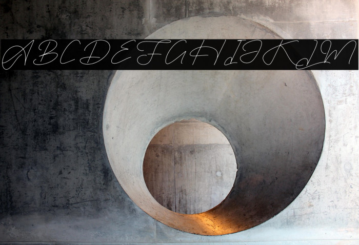 Rimgatho DEMO VERSION Example 1