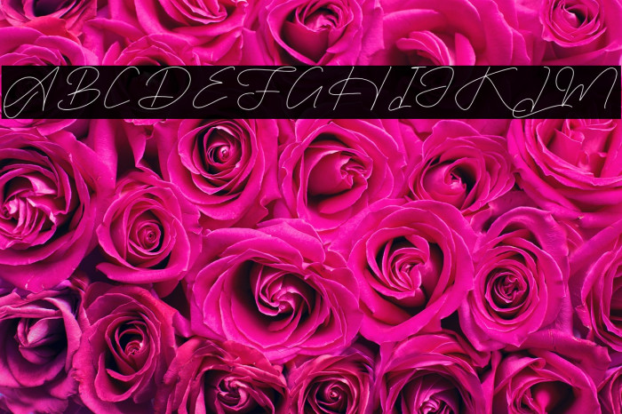 Rimgatho DEMO VERSION Example 3