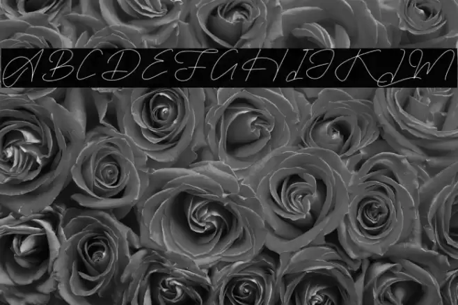 Rimgatho DEMO VERSION Fuentes examples