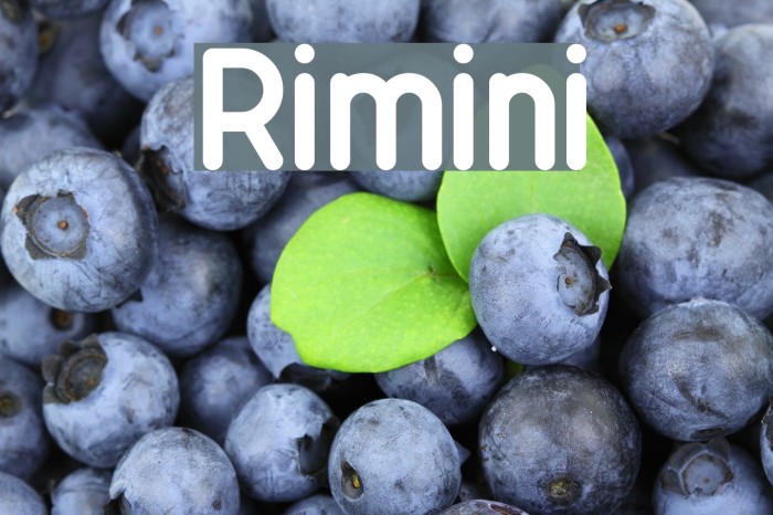 Rimini Font examples