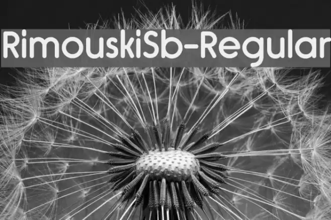RimouskiSb-Regular Font examples