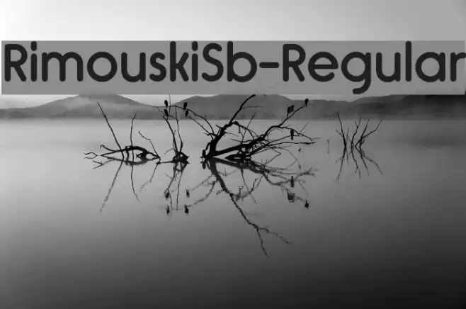 RimouskiSb-Regular Font examples
