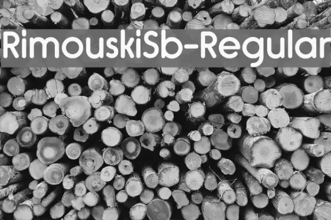 RimouskiSb-Regular Font examples