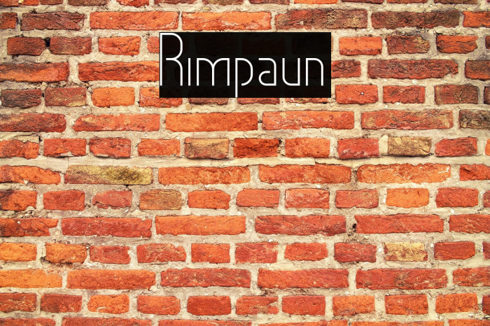 Rimpaun Example 3