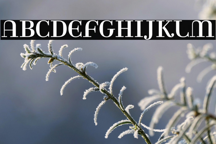 Rina-Regular Example 1