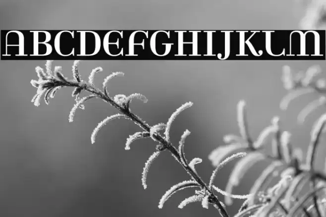 Rina-Regular Font examples