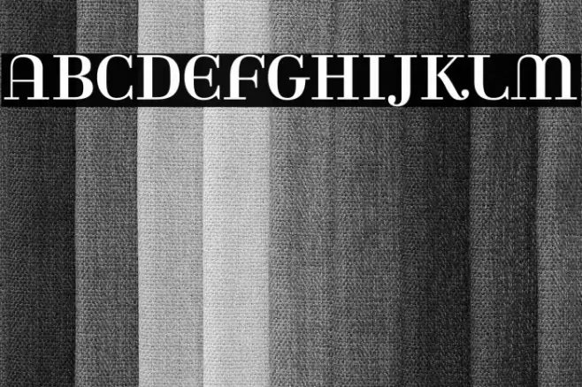 Rina-Regular Font examples