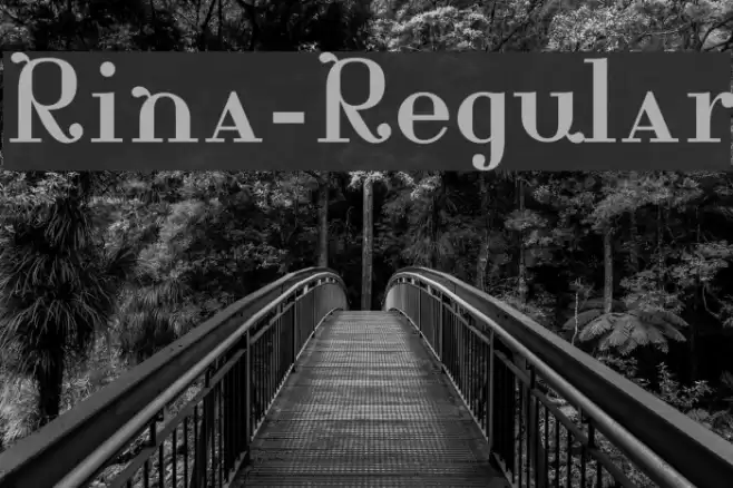 Rina-Regular Font examples