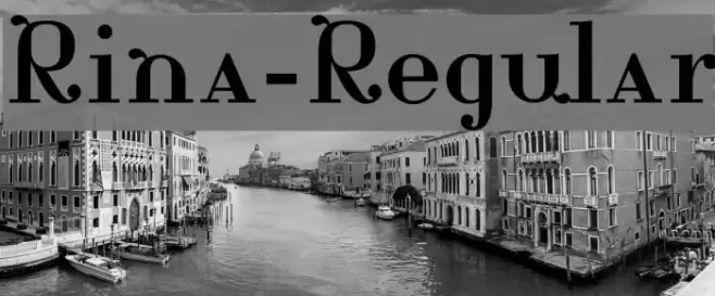 Rina-Regular Font examples