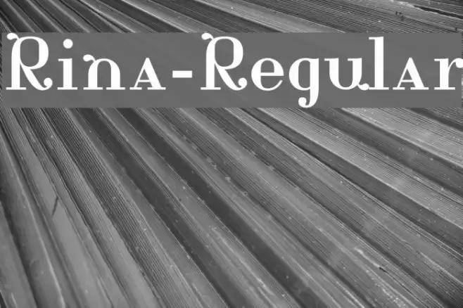 Rina-Regular Font examples