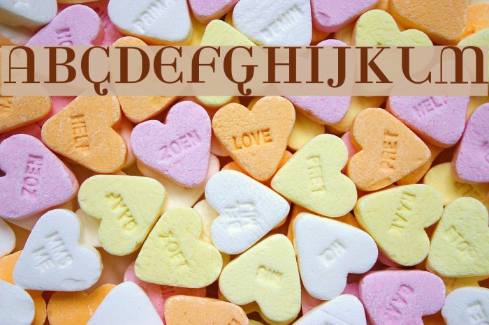 Rina Font examples