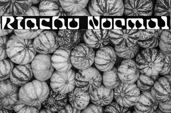 Rinchu Normal フォント examples