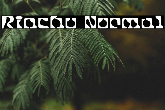 Rinchu Normal Example 2