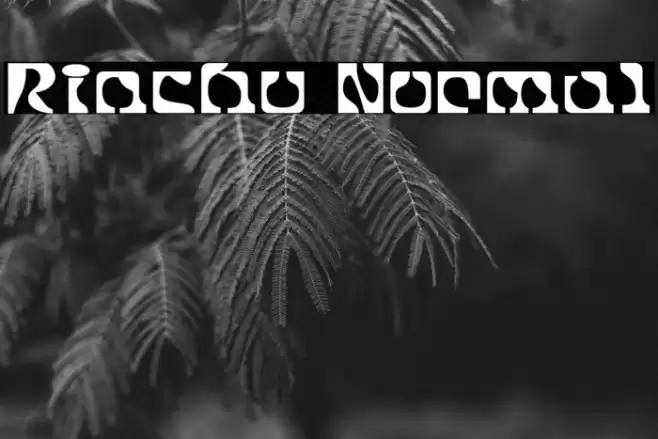 Rinchu Normal フォント examples