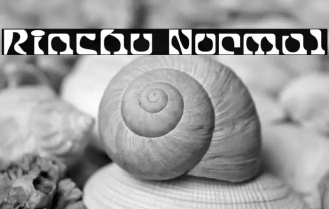 Rinchu Normal フォント examples