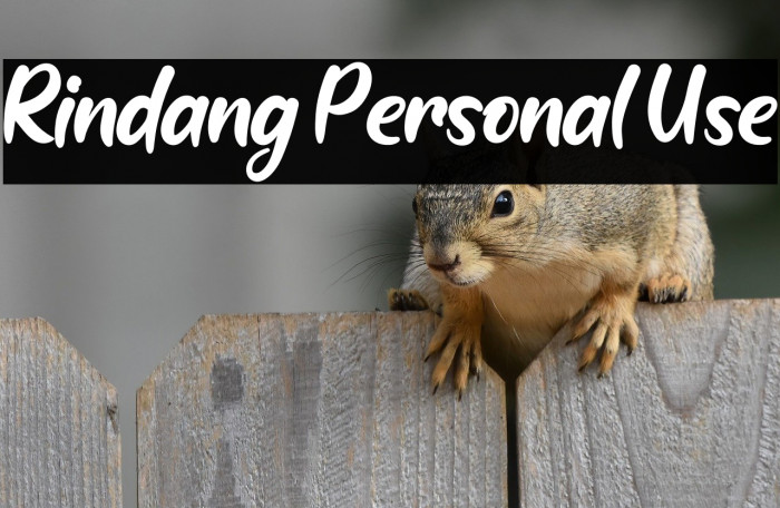 Rindang Personal Use Example 3